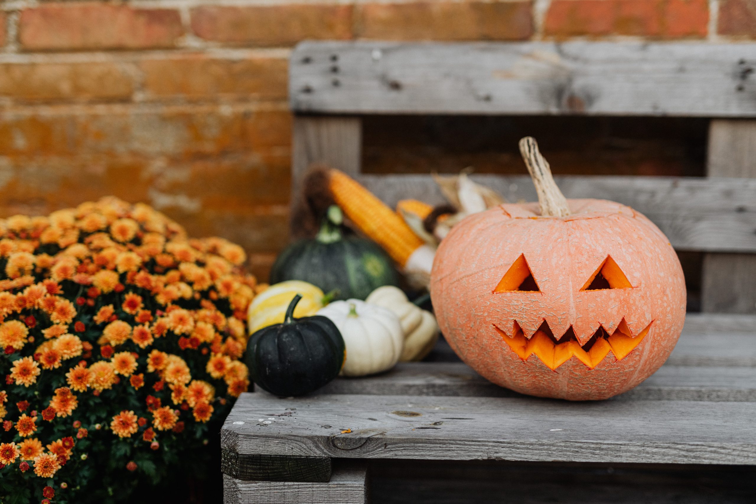 Halloween Time in Kelowna