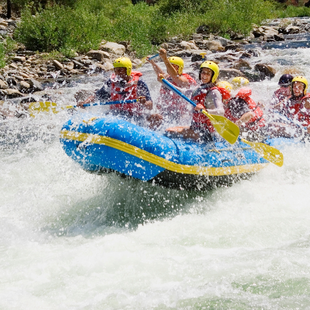 NELSON RAFTING