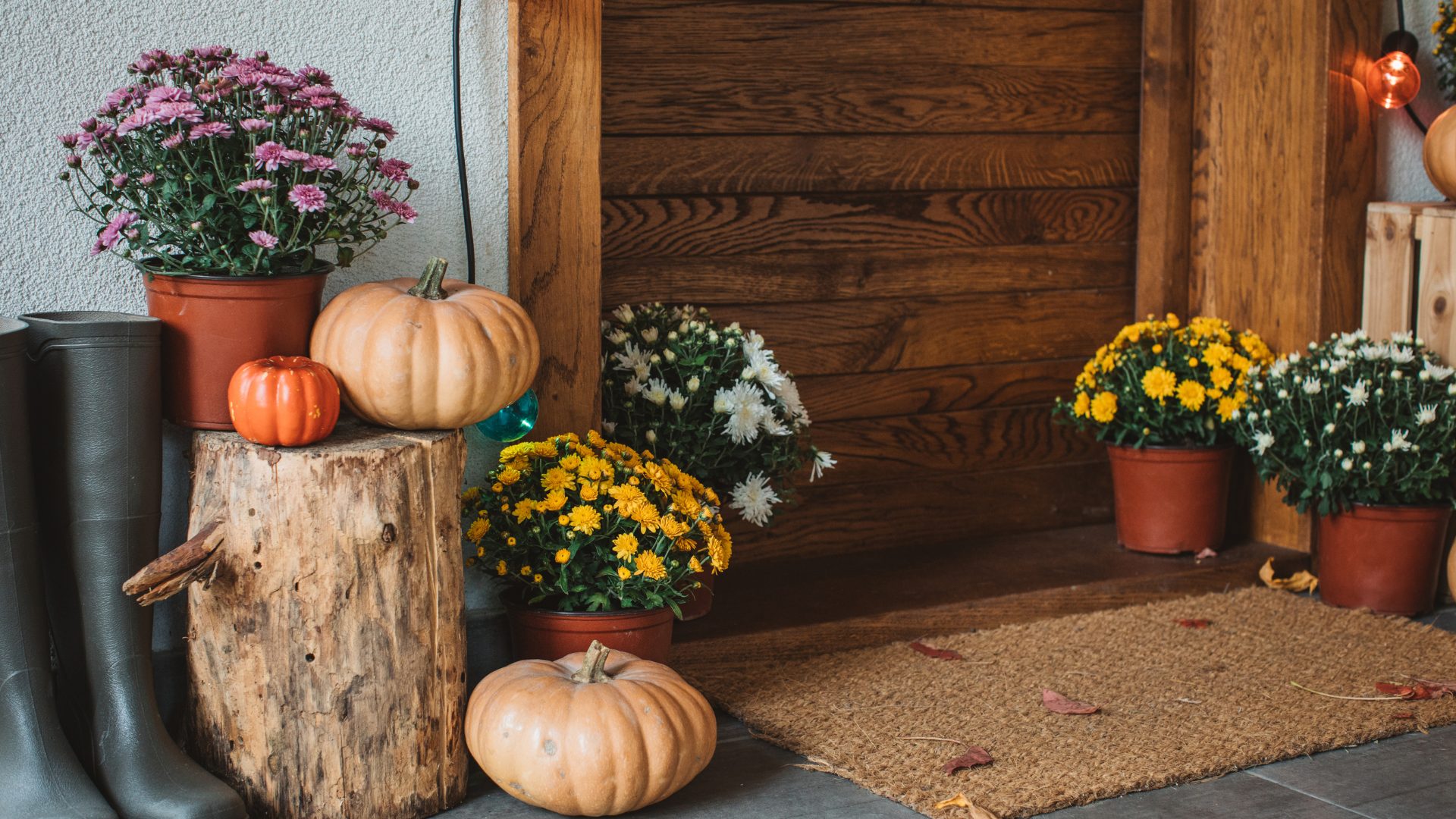 Decorative flower pots and seasonal fall decor