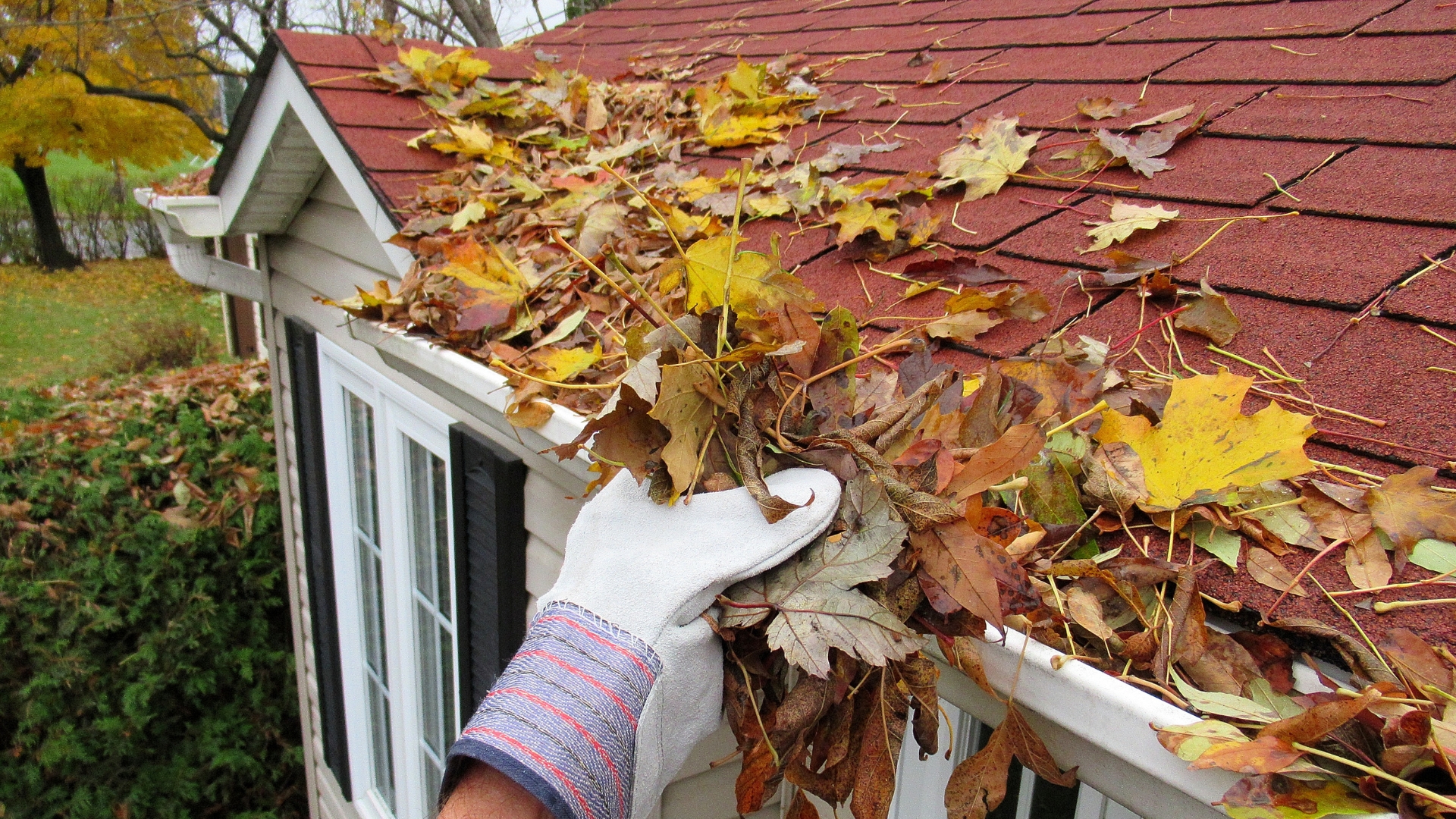 Homeowner cleaning gutters on a BC Interior home during fall maintenance