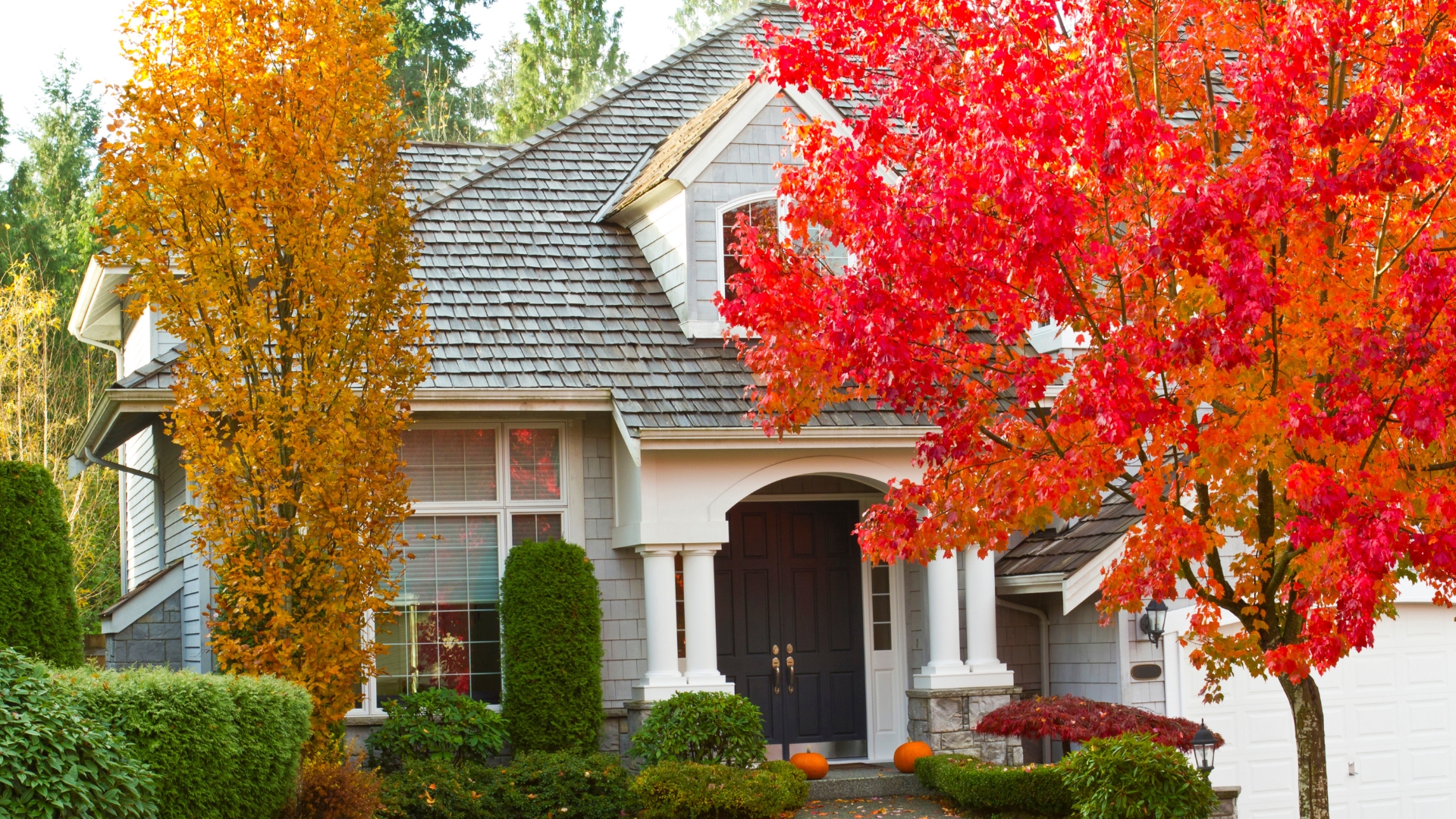 Homeowner cleaning gutters on a BC Interior home during fall maintenance